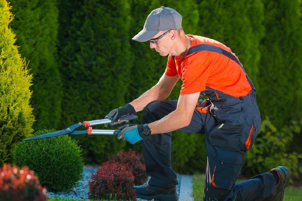 Firmenauflösung Berlin